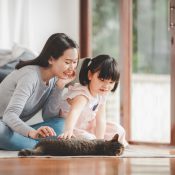 Happy Asian family mother and daughter palying with cat at home in living room. Focused on mother